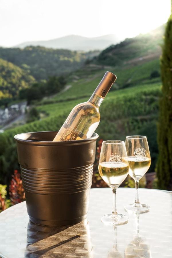 Hotel Wine Passion Panoramic Chavanay Exterior foto