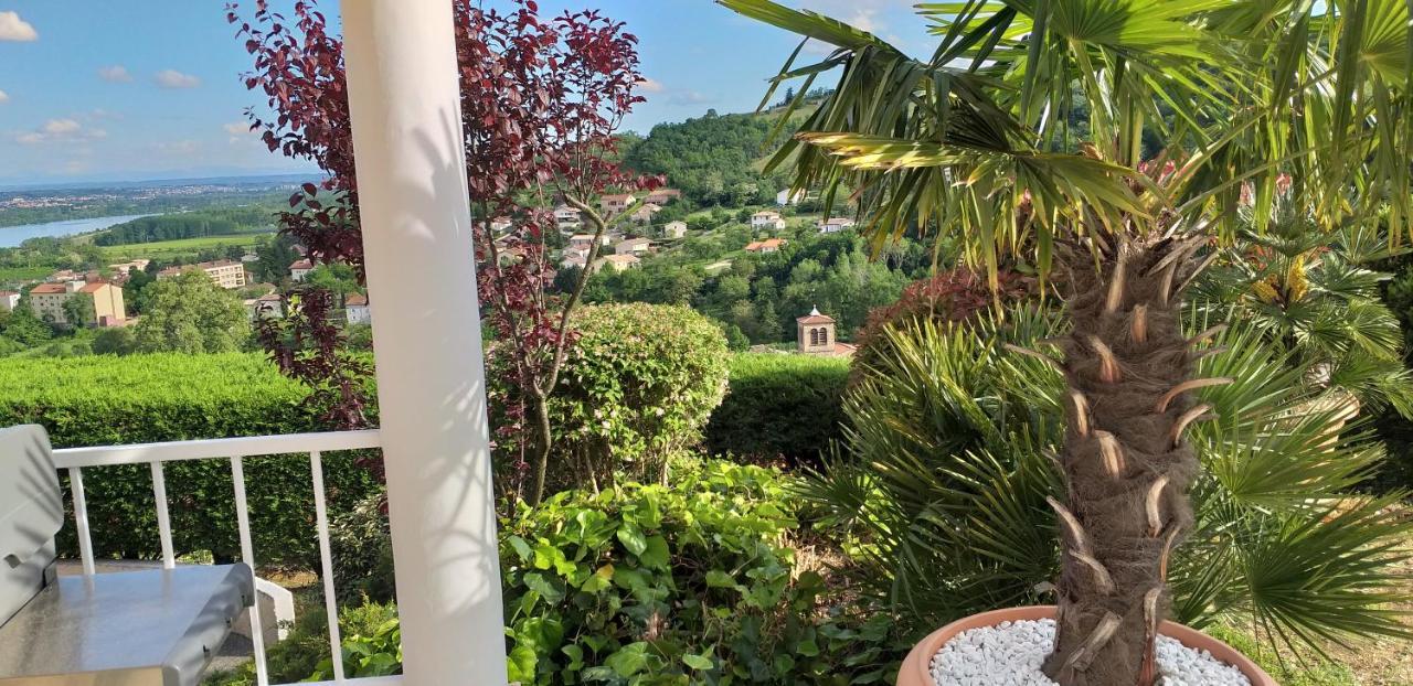 Hotel Wine Passion Panoramic Chavanay Exterior foto