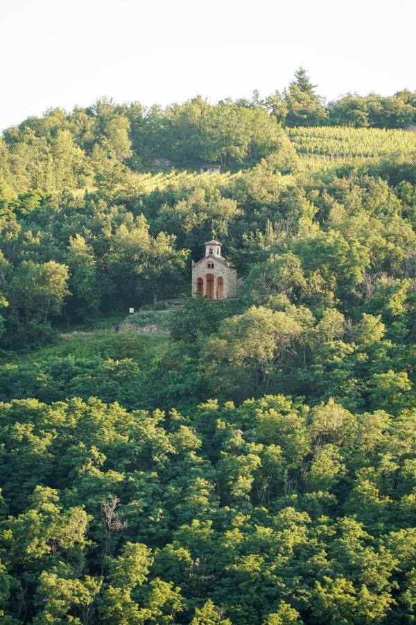 Hotel Wine Passion Panoramic Chavanay Exterior foto