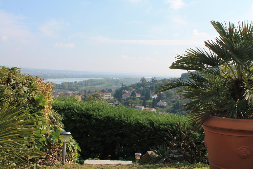 Hotel Wine Passion Panoramic Chavanay Exterior foto
